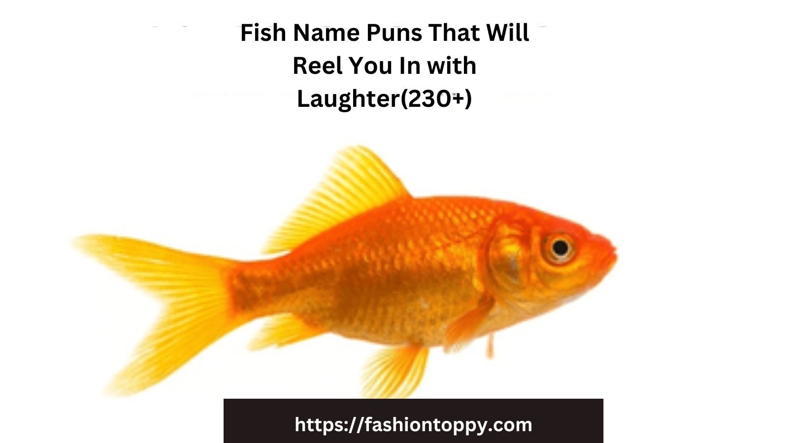 Fish Name Puns