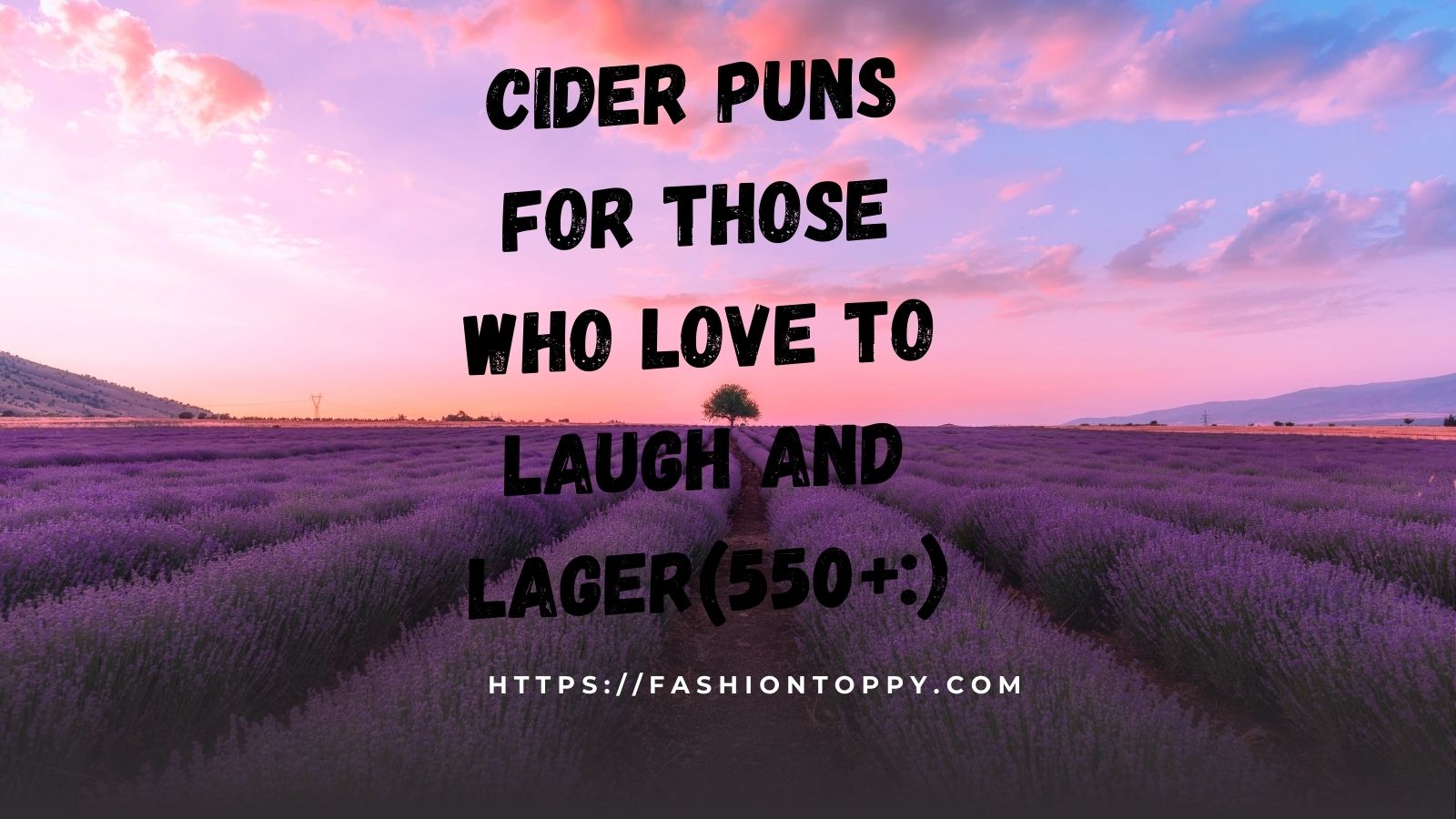 Cider Puns