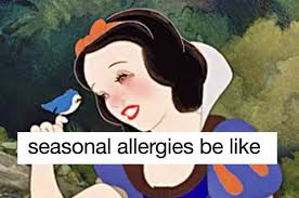 Allergy Puns