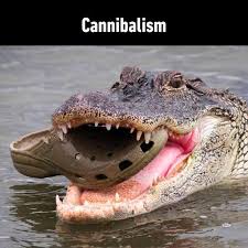 Croc Puns